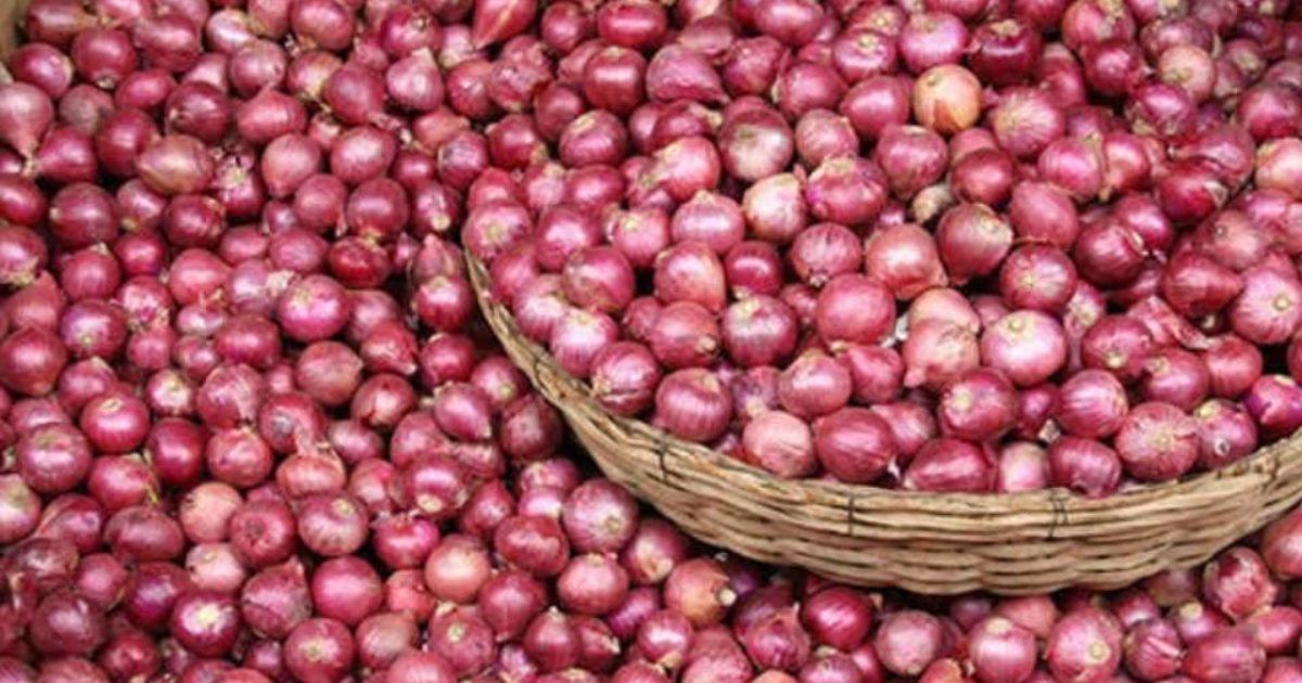Government imposes 40 pc export duty on onions to improve local supplies